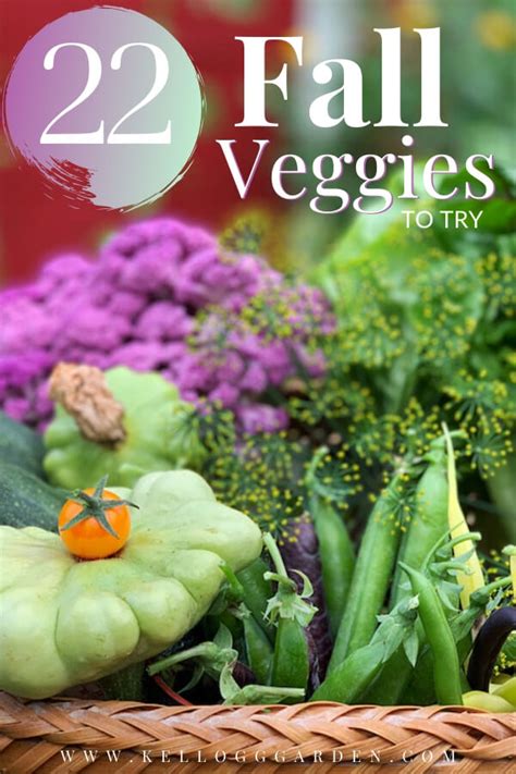 fall garden vegetables | Kellogg Garden Organics™