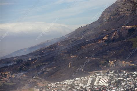 Table Mountain fire 2021, South Africa - Stock Image - C053/2960 ...