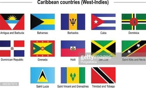 Amazon.com : Caribbean West Indies Islands 2x3' Flag Set of 13 Country Polyester Flags : Patio ...