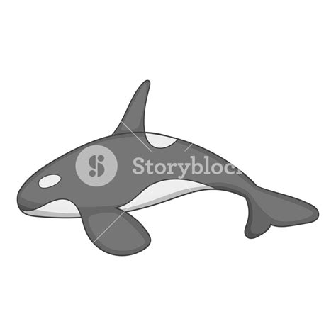 Killer Whale Vector at Vectorified.com | Collection of Killer Whale Vector free for personal use