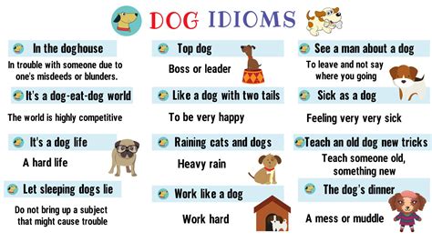 Dog Idioms and Sayings | List of 35+ Interesting Idioms Related to Dog in English - English ...