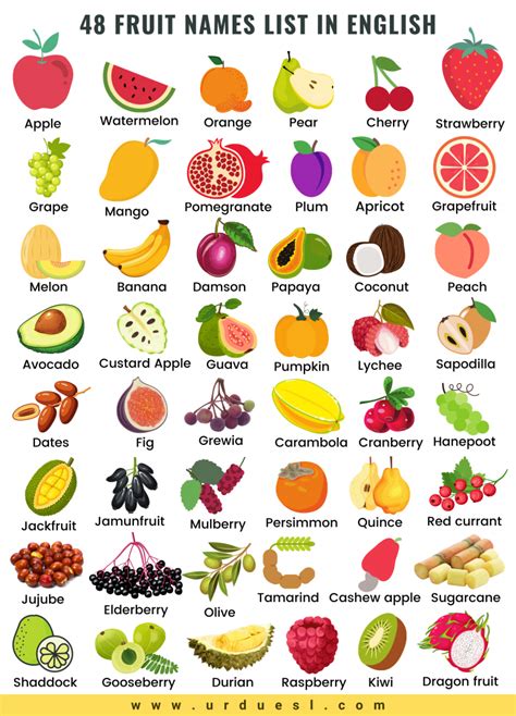 All Fruit Names List in English with Pictures - Download pdf