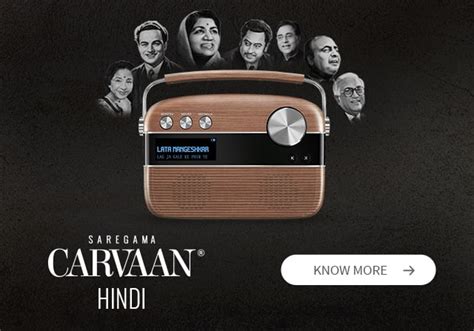 Niche Marketing Strategy Of Saregama Carvaan The Strategy, 52% OFF