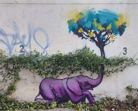 Elephant Graffiti Art In South Africa To Give People Hope