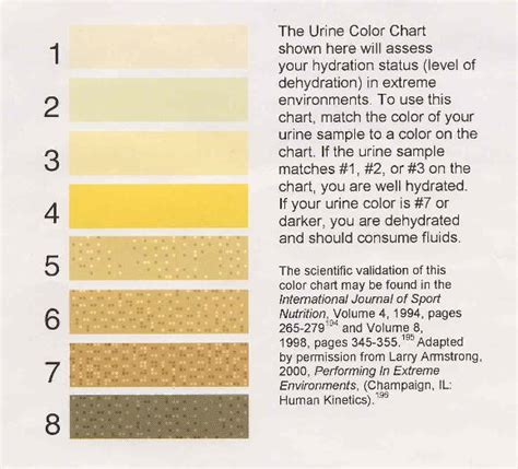 Urine Color Chart