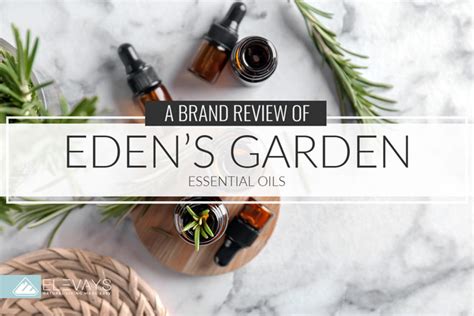 Brand Review: Eden's Garden Essential Oils - Elevays