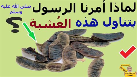 افضل اعشاب للتخسيس وخسارة الوزن- لماذا أمرنا الرسول ﷺ بتناولها | اقوى ...