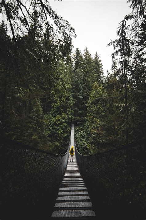 Nature, Canada, Bridge, Human, Person, Loneliness, Vancouver HD phone wallpaper | Pxfuel