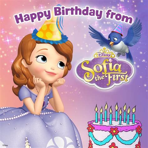 Happy Birthday from #SofiaTheFirst! | Girly birthday party, Sofia the first party, Cute happy ...