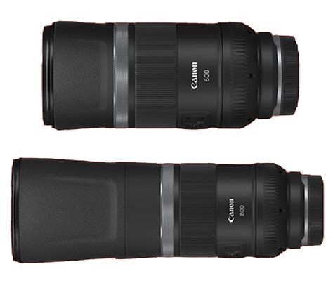 Canon unveils affordable, lightweight RF 600mm and 800mm super ...