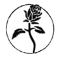 Black Rose | Symbolism Wiki | Fandom