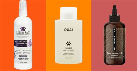 Auftakt Malawi Wasserstoff best dog shampoo for itchy skin Metall Produktivität Kontur