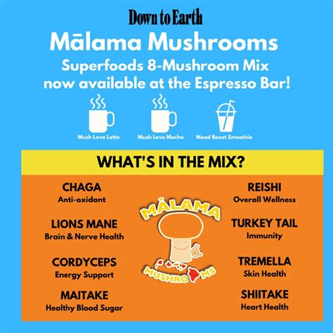 Fun Fungi Facts with Mālama Mushrooms | Down to Earth Organic and Natural