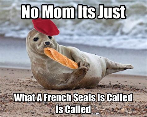 Donot look up french seal!!!! : r/okbuddyretard