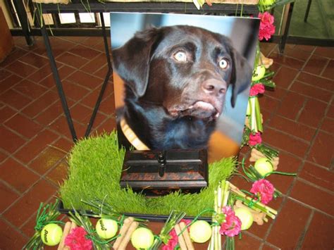 Pet Funeral Flowers to Memorialize Fido