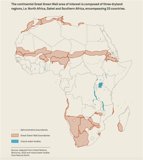 Deforestation in Africa: Causes, Effects, and Solutions | Earth.Org