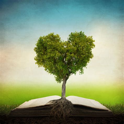 Tree of life by Kevin Carden / 500px | How he loves us, Tree of life, Bible