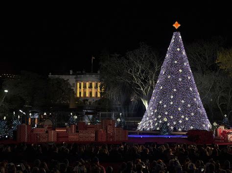 Lighting Ceremony | National Christmas Tree Lighting