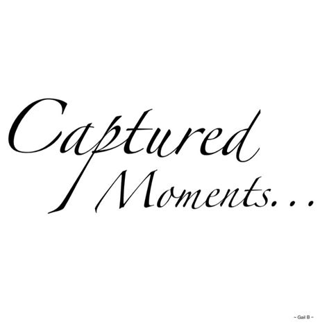 Quotes About Pictures Capturing Memories