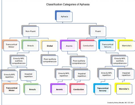 What Means Motor Aphasia | Webmotor.org