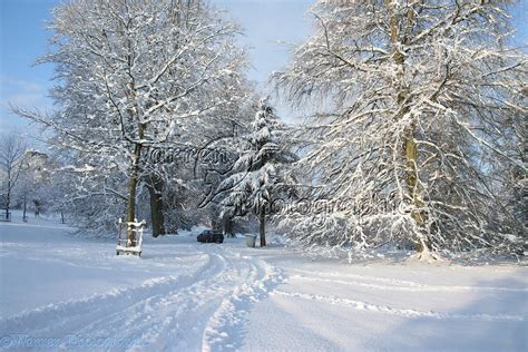 Albury Park snow scene photo WP22693