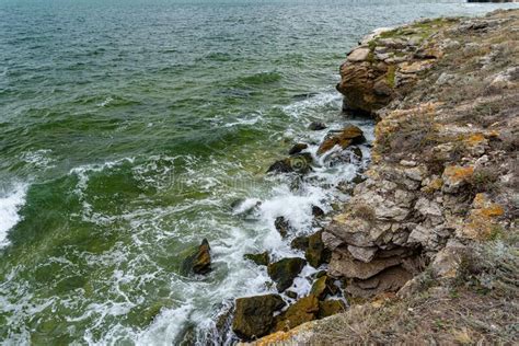 The Beaches of the Generals of the Crimean Peninsula in Cloudy Weather, with Birds on the Shore ...