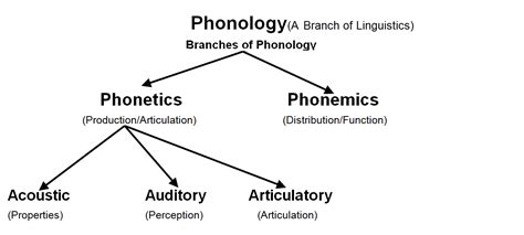 Phonics and Phonology : Difference between Phonetics and Phonology