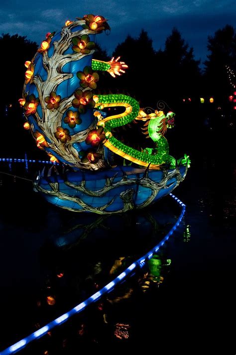 dragon | Montreal botanical garden, Dragon, Garden photos