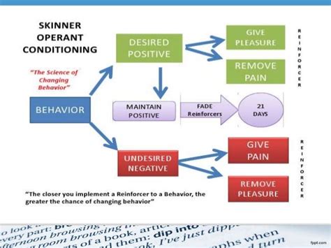 Skinner learning theory