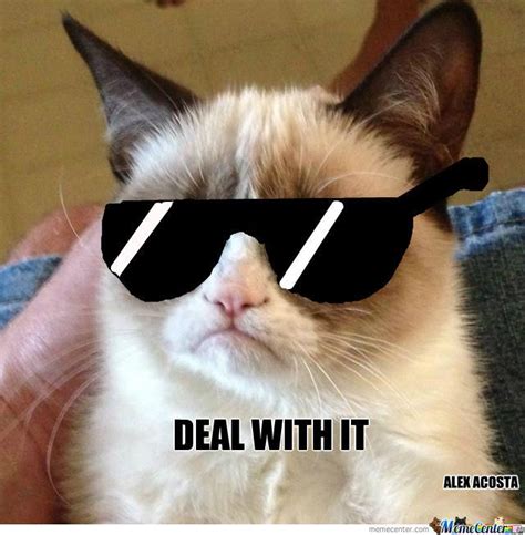 deal with it | Deal with it meme, Grumpy cat, Annoying girls