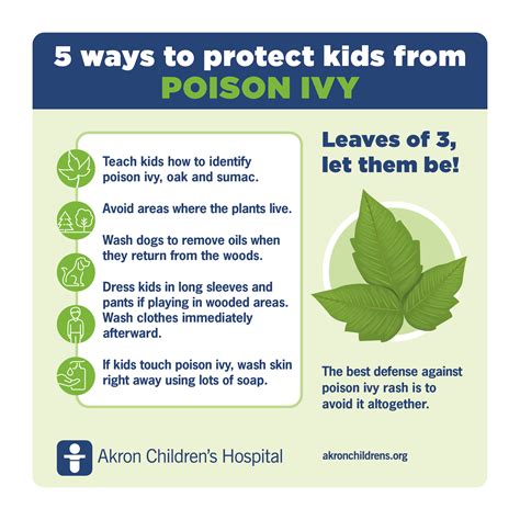 How To Prevent Poison Ivy Rashes The Checkup - vrogue.co