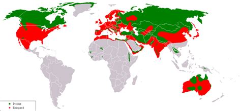 Canis lupus • Carte d’identité | Bio-Scène.org