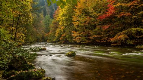 1920x1080 Resolution harz, germany, autumn 1080P Laptop Full HD ...