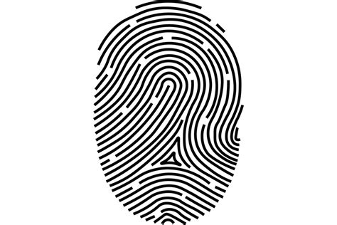 Fingerprint PNG transparent image download, size: 900x600px