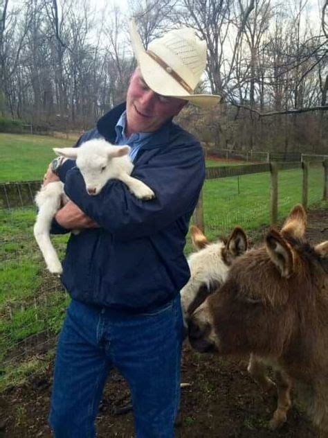 Dan Hughes (QVC Host) new member to his animal family Little Lamb (With ...