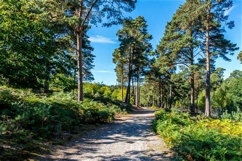 Brownsea Island walk - Brownsea Island Nature Reserve - Dorset walks