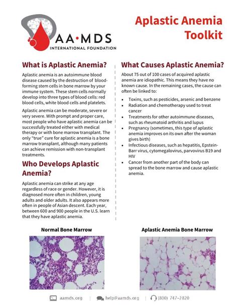 Aplastic Anemia Toolkit | Aplastic Anemia & MDS International Foundation