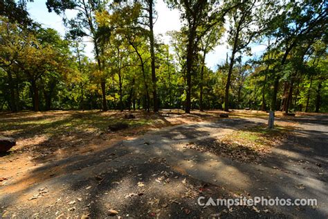 Tyler State Park - Campsite Photos, Camping Info & Reservations