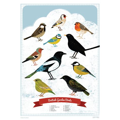 British Garden Birds Poster - Gifts Under £10, Posters, Animal Kingdom - The Red Door Gallery ...