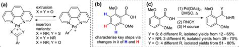 Example of a mechanism‐based approach guiding the development of new ...