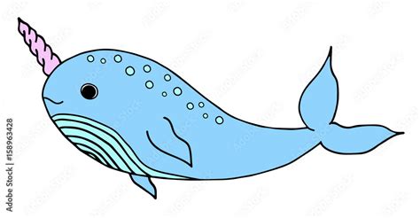 Cute narwhal whale cartoon doodle drawing, hand drawn vector ...