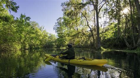 Things to Do in Ocala in 2024 | Expedia