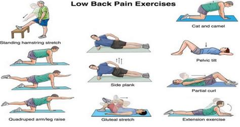 Spine Solutions India by Dr Sudeep Jain: Exercise to strengthen your core back muscles and to ...