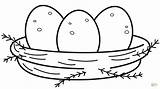 Gallina Nido Dibujo Gallinas Huevo Huevos Gaina Pollitos Animales  sketch template