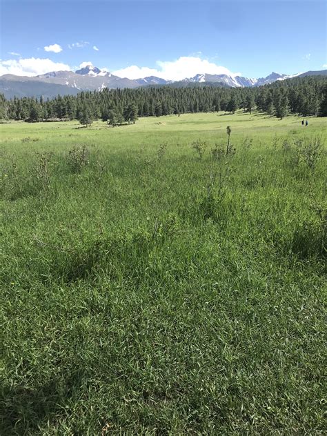 Beautiful scenery at Rocky Mountain National Park. : r/Colorado