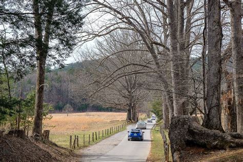 Driving the Cades Cove Loop Road: What You Need To Know