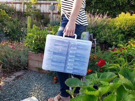 Seed Storage: The Best Way to Store and Organize Garden Seeds ...