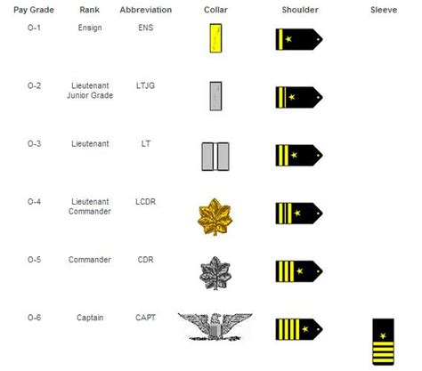 Exploring US Navy Ranks: Understanding the Positions Below Captain - News Military