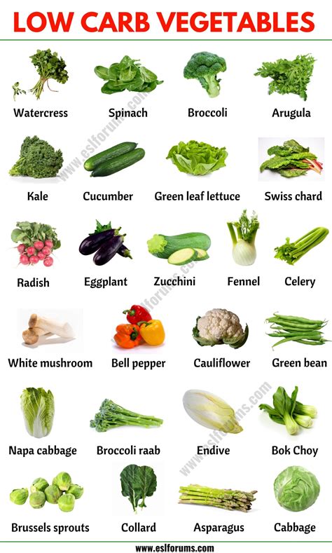 25 Low Carb Vegetables: A Guide to The Best Low-Carb Vegetables - ESL ...