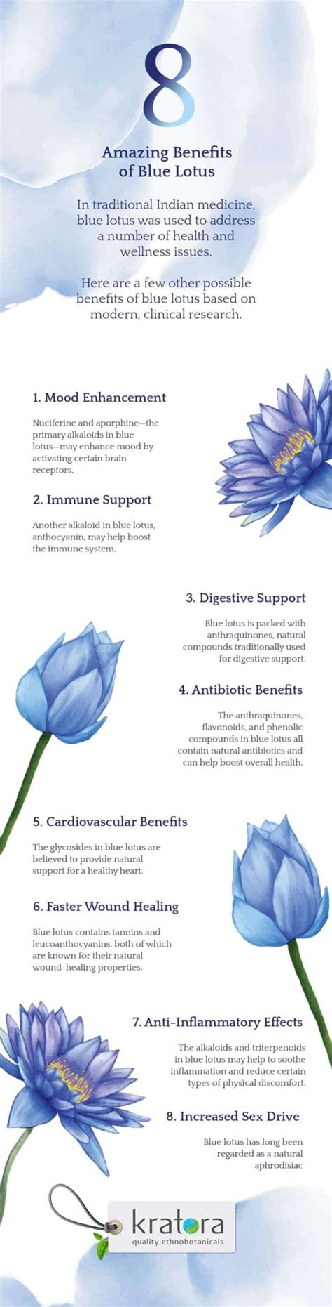 Blue Lotus Benefits That May Surprise You | Shop Kratora